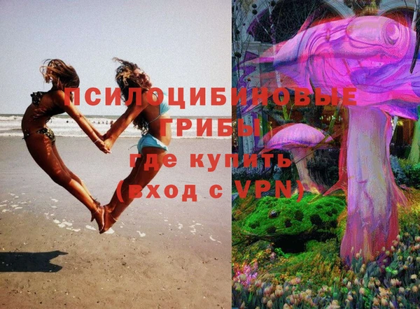 экстази Горнозаводск
