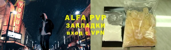 PSILOCYBIN Горно-Алтайск