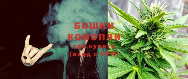 PSILOCYBIN Горно-Алтайск