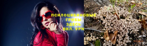 стаф Вяземский